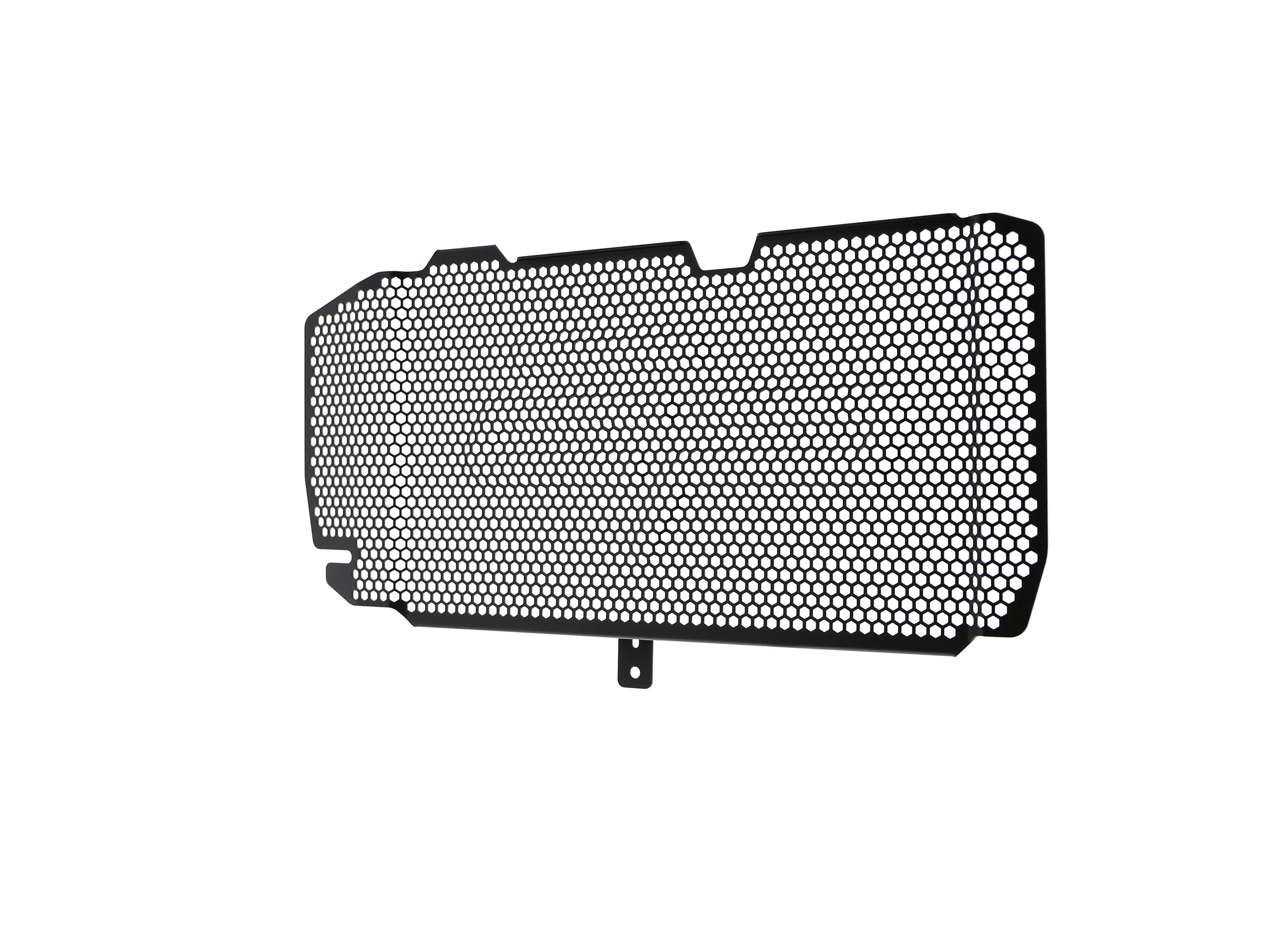 EP BMW F 800 R Radiator Guard 2015-2019