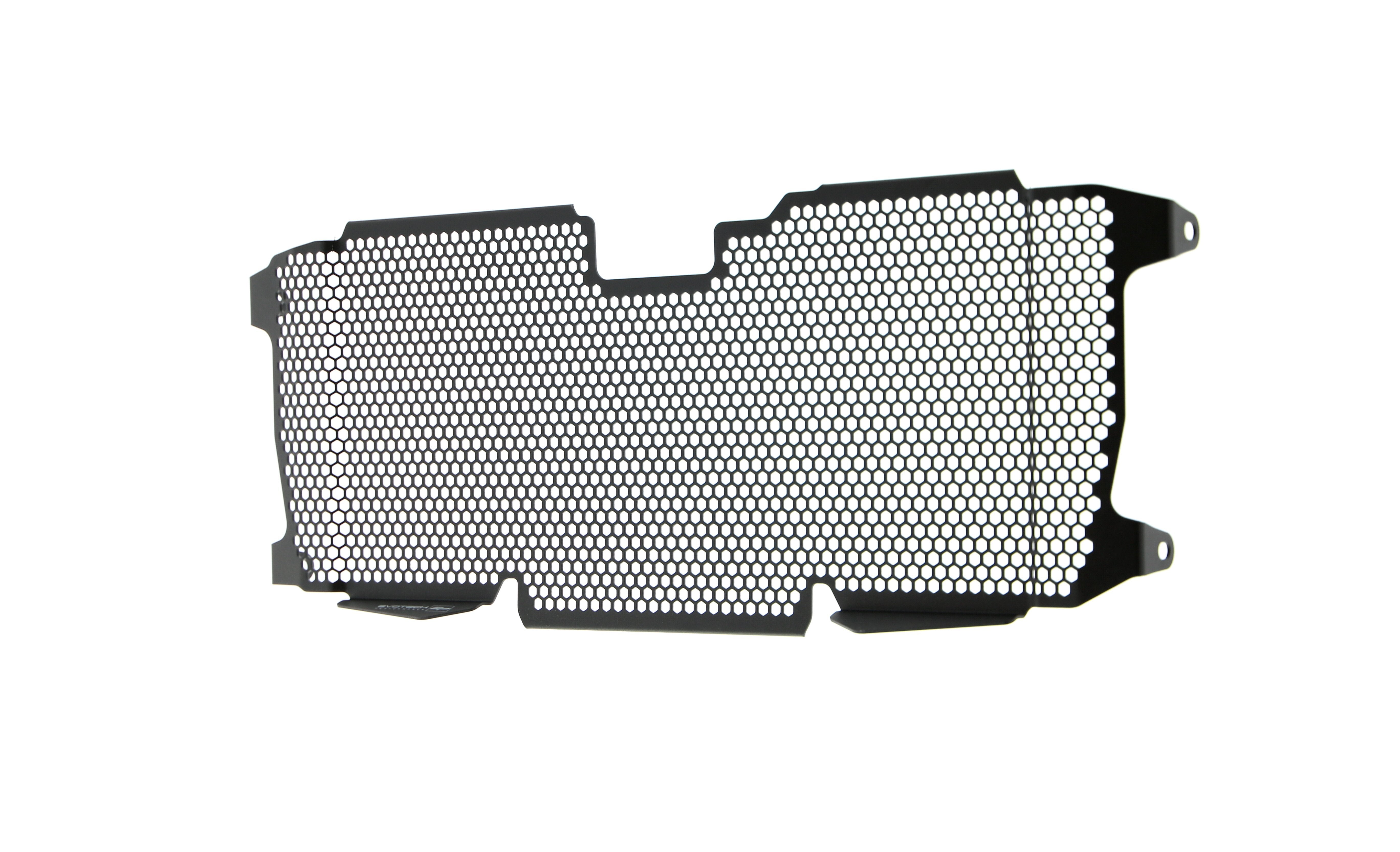 EP BMW R 1200 R Radiator Guard 2015 - 2018