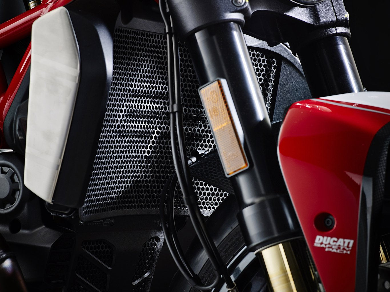 EP Ducati Monster 1200 R Radiator and Engine Guard set 2016 - 2019