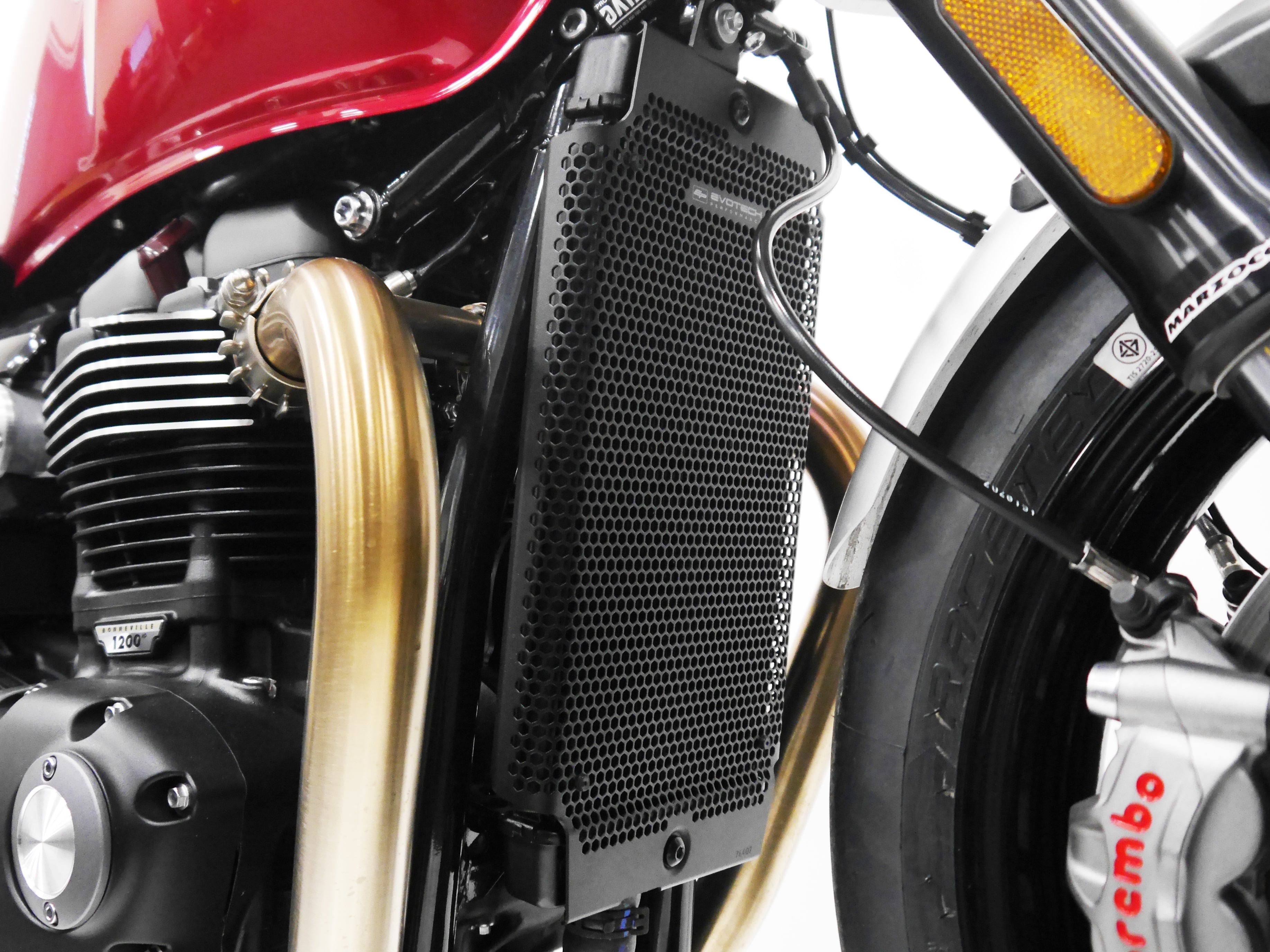 EP Radiator Guard - Triumph Thruxton T120 (2016 - 2019)