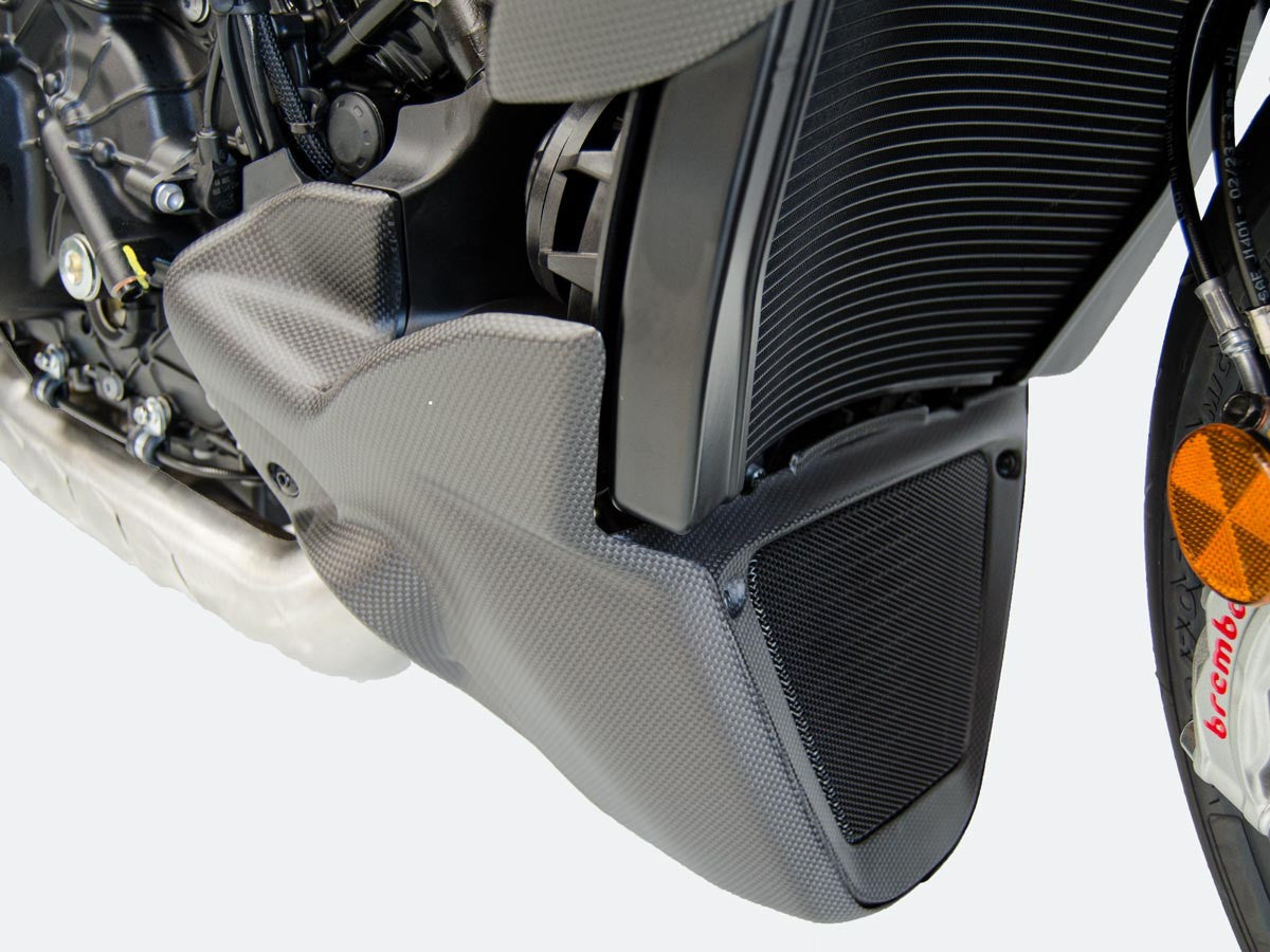 CRB79O - DIAVEL V4 RADIATOR FRAME MATT CARBON