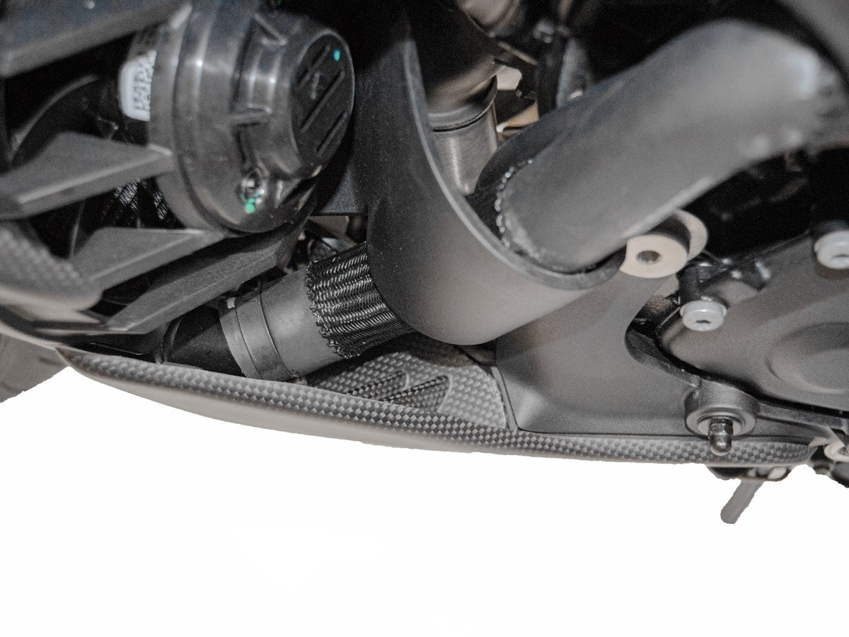 CRB72O - DIAVEL V4 MATTE CARBON SIDE SUPPORT