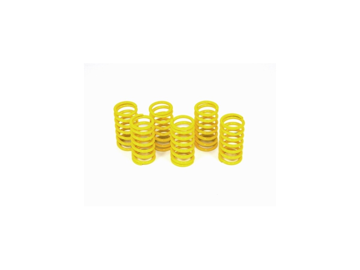 6M01 - KIT CLUTCH SPRINGS