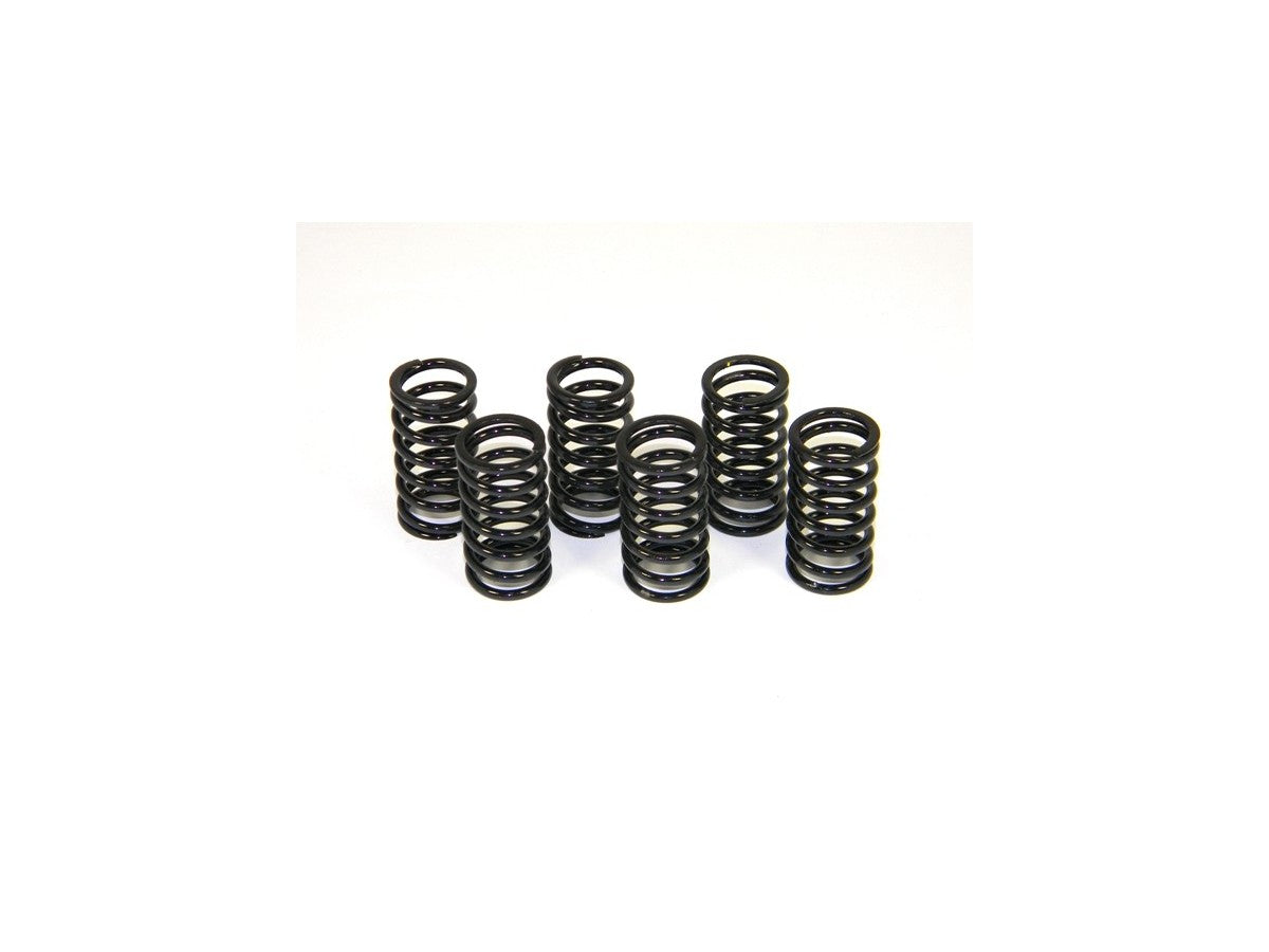 6M01 - KIT CLUTCH SPRINGS