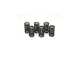 6M01 - KIT CLUTCH SPRINGS